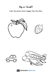 thumbnail of Color the picture that is bigger worksheet (Apple , Areoplane)