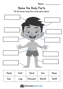 thumbnail of Name the Body Parts (Class 1) EVS